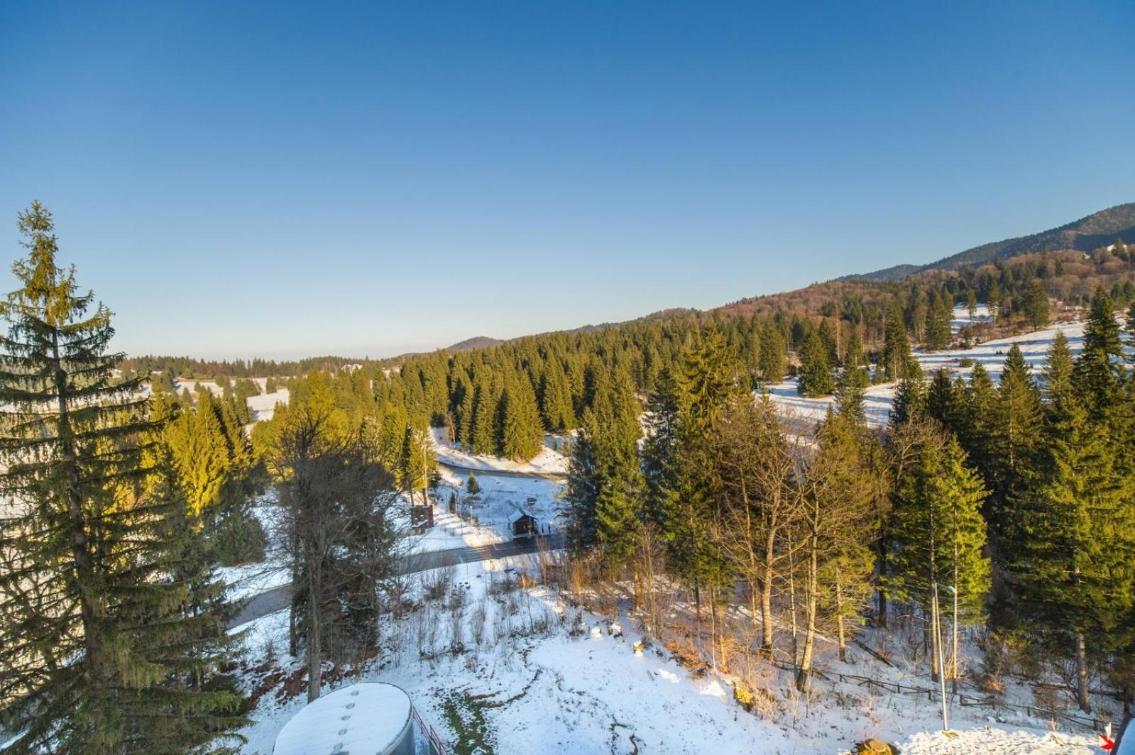 Pine Woods Apartment A28 In Silver Mountain Poiana Brasov Exterior foto